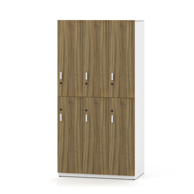 Modern Innovative Locker with 6 Wooden Doors 