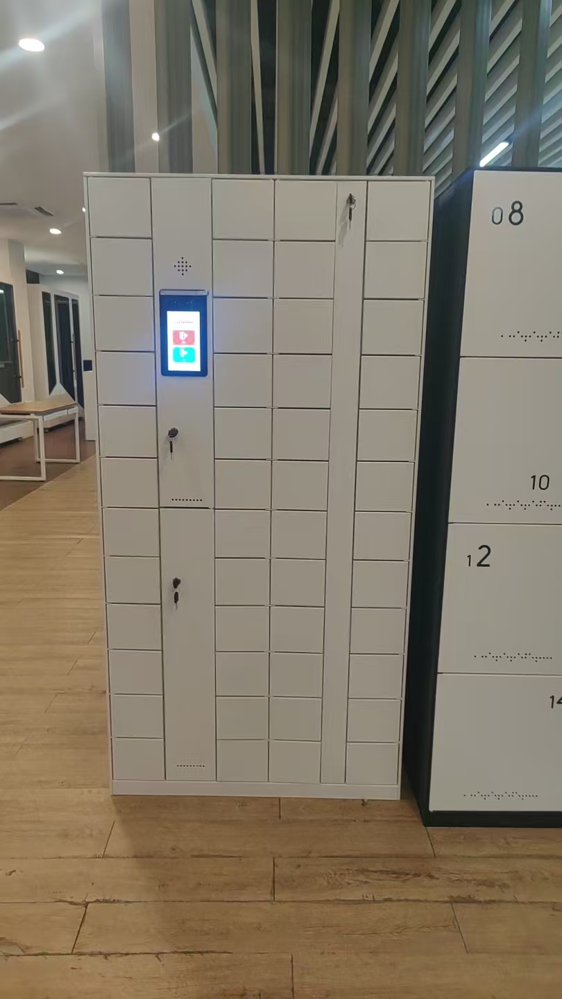 Manufacturer Cheap Sell 48 Door Metal Smart Phone Locker with Intelligent System 